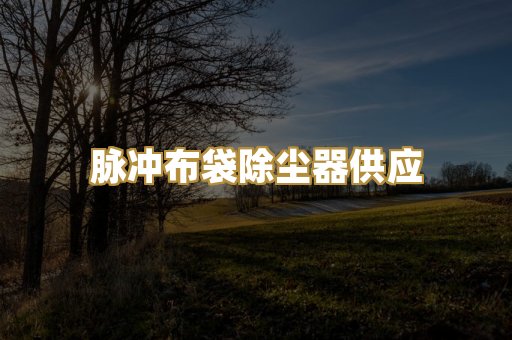 脉冲布袋除尘器供应