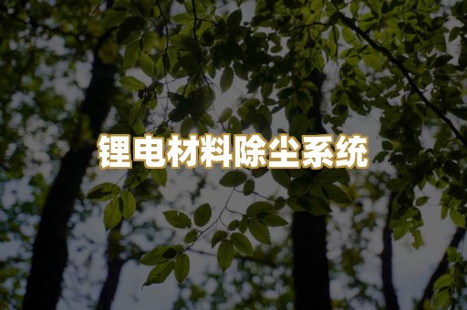 锂电材料除尘系统